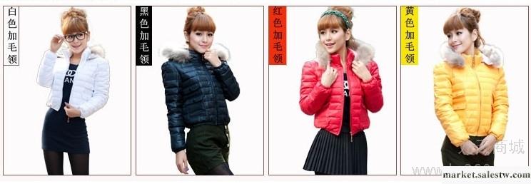供應2013秋冬新款 女士服裝 短款羽絨服韓版修身女裝冬款毛領外套工廠,批發,進口,代購