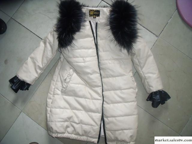 供應aimeS.M.L女士上衣 外套 棉服 女工保暖外套加工工廠,批發,進口,代購