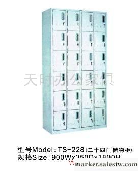 供應天時TS-228辦公家俱、文件柜工廠,批發,進口,代購