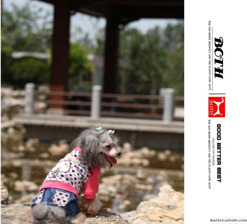 寵物衣服批發2011韓國BOTH粉愛心公仔裝寵物服裝狗衣服寵物用品工廠,批發,進口,代購