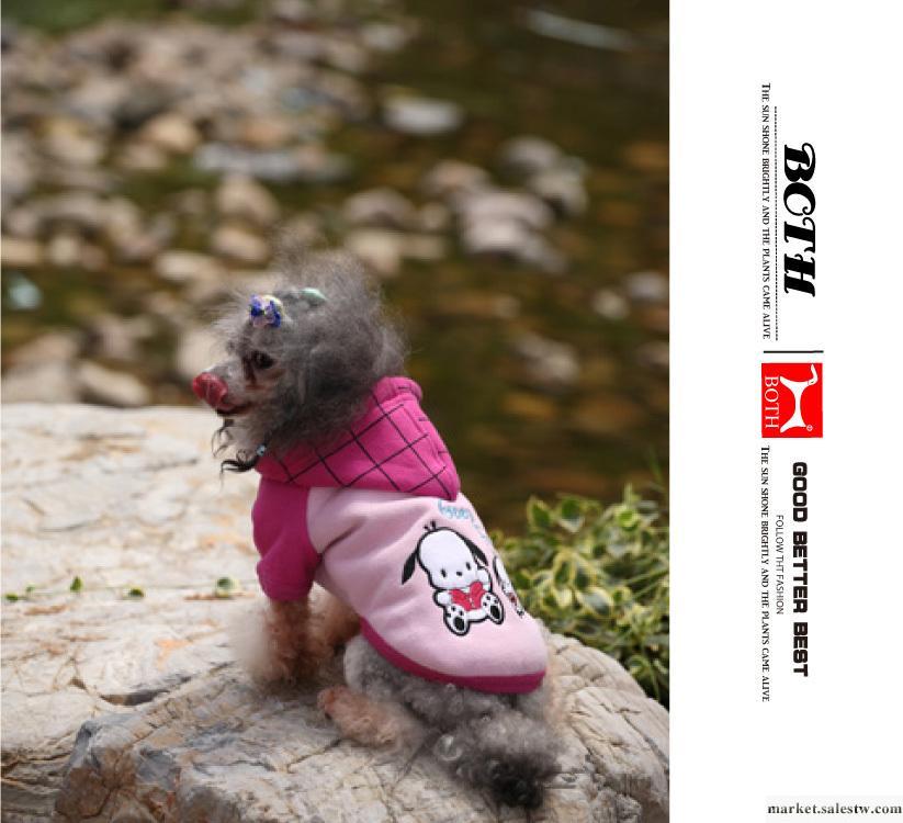 寵物衣服批發2011韓國BOTH 紅氣質格子裝寵物服裝狗衣服寵物用品工廠,批發,進口,代購