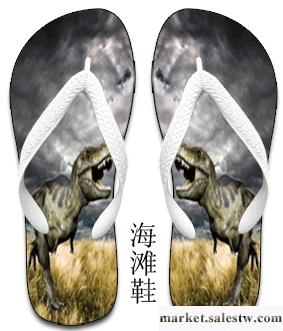 供應3D卡、3D沙灘鞋、3D文件夾工廠,批發,進口,代購