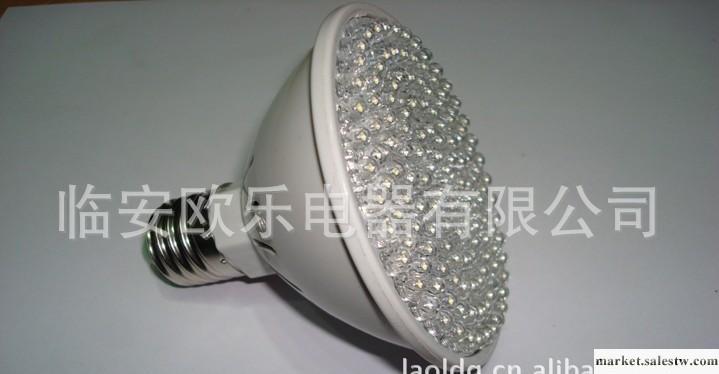 廠家LED燈 LED照明 小功率LED 1-3W  蓮蓬頭led燈　環保/節能批發・進口・工廠・代買・代購