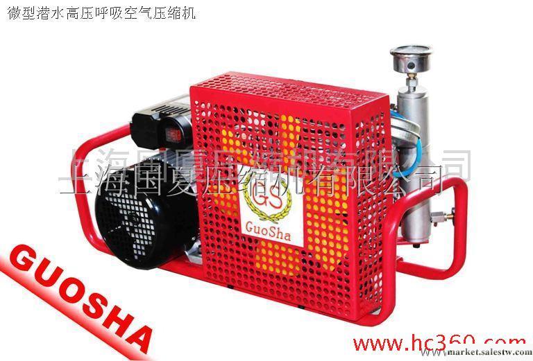 供應國廈牌GSX100呼吸瓶充氣專用小型潛水空氣壓縮機工廠,批發,進口,代購