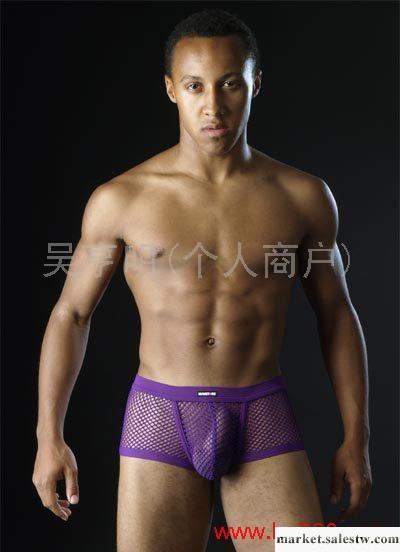 供應男式情趣內褲批發MANSTORE大網紗性感平角紫色一件代發廠家直銷工廠,批發,進口,代購