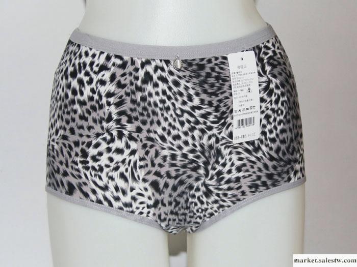 供應100％竹纖維女式內褲 性感情趣豹紋竹炭女士內褲批發 內褲廠價批發工廠,批發,進口,代購