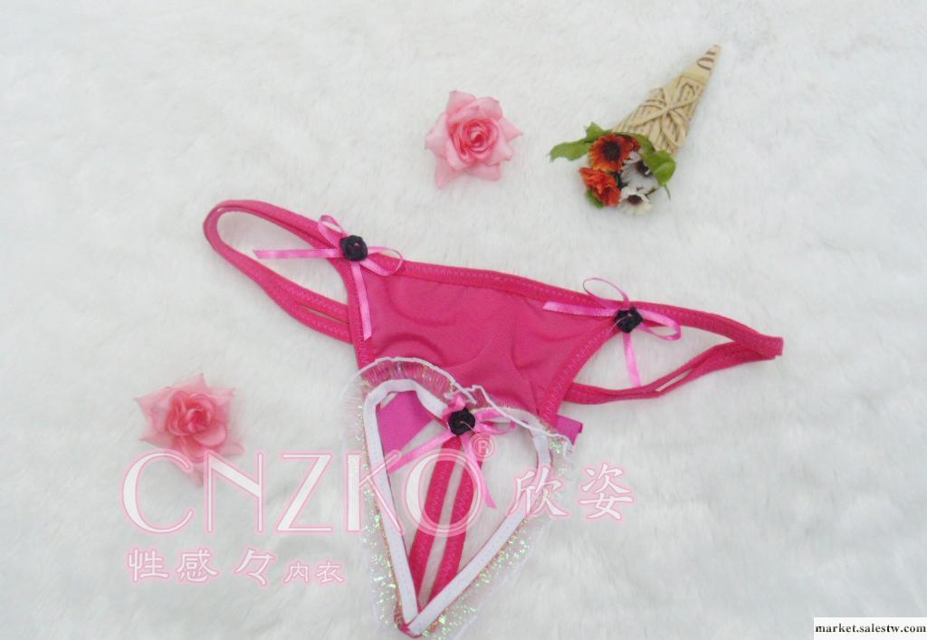 供應欣姿010女式情趣內衣丁字褲 情趣內衣工廠,批發,進口,代購
