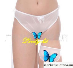 批發 情趣內褲2071  情趣內褲 性感內褲批發代理工廠,批發,進口,代購