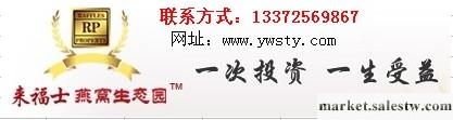 供應50萬投資什么項目好，選來福士100％賺大錢批發・進口・工廠・代買・代購