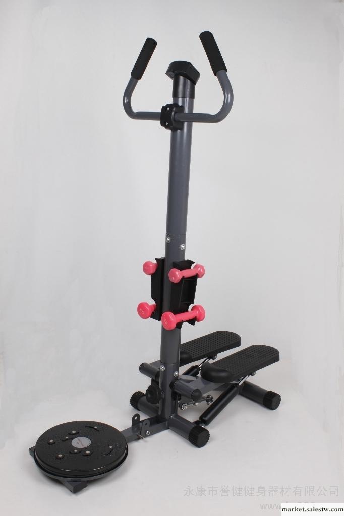 供應永康市譽健健身器材 多功能踏步機T2012003 扭腰踏步機  美腿機工廠,批發,進口,代購