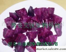 艾沃紫紅薯提取物（原花青素）工廠,批發,進口,代購