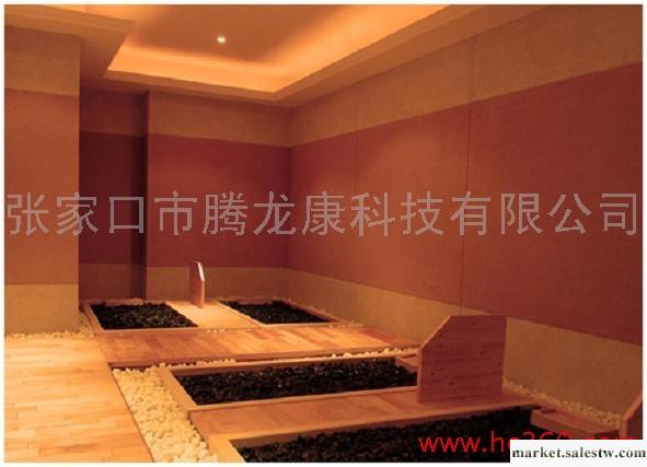 供應新鄉騰龍康48砭石巖盤浴工廠,批發,進口,代購