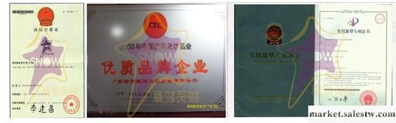 供應廣州中醫美容——夏雪靈儷專利產品介紹工廠,批發,進口,代購