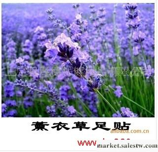 供應石家莊會銷熱賣人參補氣血足貼 香薰安眠足貼 肉桂降糖降壓足貼 生姜足貼工廠,批發,進口,代購