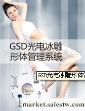 供應GSD國際瘦身纖體管理系統工廠,批發,進口,代購