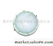 供應COASTS柯仕FD-03桑拿燈工廠,批發,進口,代購