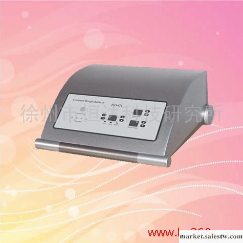 供應HD-G1中醫經絡理療儀工廠,批發,進口,代購