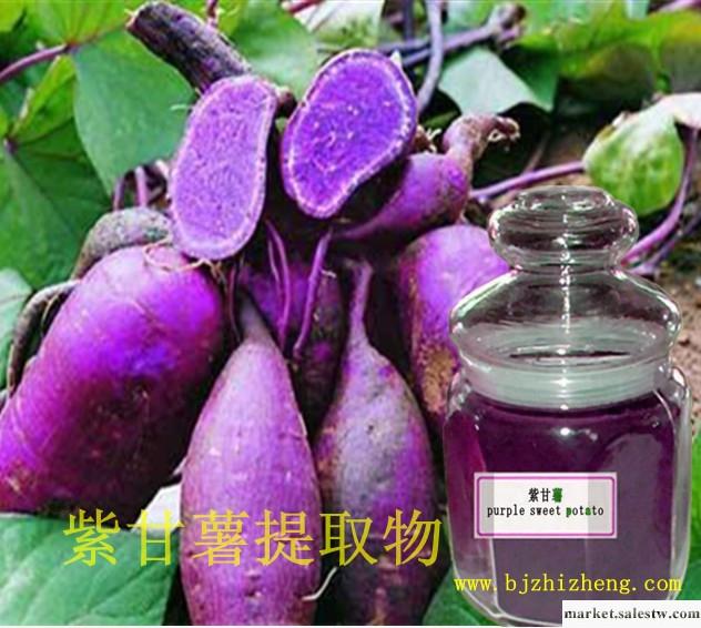 供應杜創紫甘薯提取物（紅薯提取物）紫甘薯提取物（紅薯提取物）工廠,批發,進口,代購