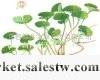 供應廠家供應積雪草總甙90％工廠,批發,進口,代購
