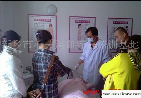 供應韓國正宗供應河南醫療加盟韓國瀉血工廠,批發,進口,代購