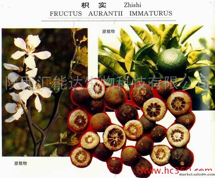 供應優質，植物提取物，枳實黃酮，辛佛林工廠,批發,進口,代購