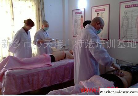 提供服務韓國瀉血標準新鄉瀉血療法培訓工廠,批發,進口,代購