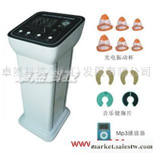 供應杭州豐胸儀衢州豐胸儀溫州豐胸儀寧波豐胸儀工廠,批發,進口,代購