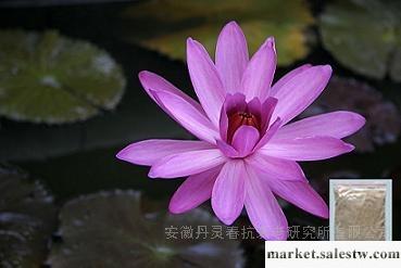 供應苗浴中國十強藥浴百脈通暢養生浴藥浴網工廠,批發,進口,代購