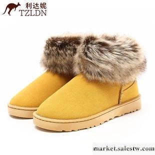 供應女鞋 正品 仿狐貍毛款短筒雪地靴工廠,批發,進口,代購