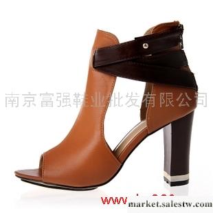 供應（20元） Drwcys2012春季新款歐美時尚魚嘴鏤空涼鞋短靴高幫高跟女鞋工廠,批發,進口,代購