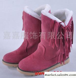 供應靴子冬季流行流蘇雪地靴 中筒保暖鞋女鞋 新款特價工廠,批發,進口,代購