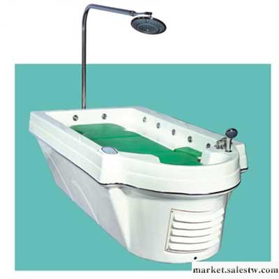 供應美容儀器，電腦智能維琪浴，水療儀 WS-5010工廠,批發,進口,代購