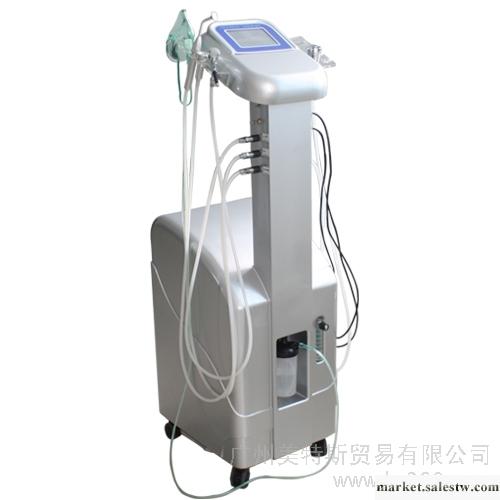 供應注氧機/面部補水儀器/水氧儀器/廠家直銷工廠,批發,進口,代購
