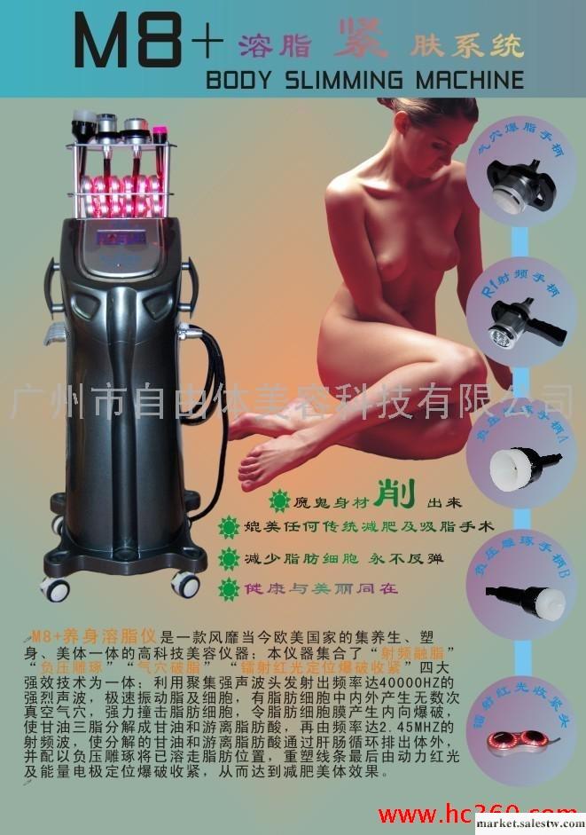 供應freebodyFB-A03美容儀 RF溶脂儀 射頻減肥儀工廠,批發,進口,代購