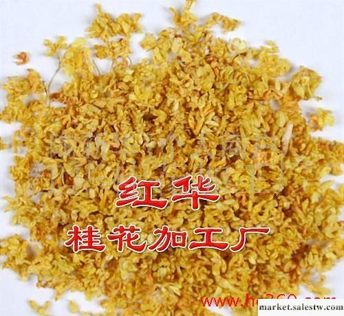 大量優質桂花茶【廠家直銷】工廠,批發,進口,代購