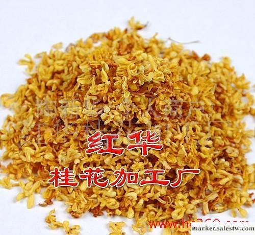 大量優質桂花干【廠家自銷】工廠,批發,進口,代購