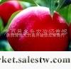 供應求購獼猴桃/采購水晶紅富士蘋果/紅富士蘋果栽培要點工廠,批發,進口,代購
