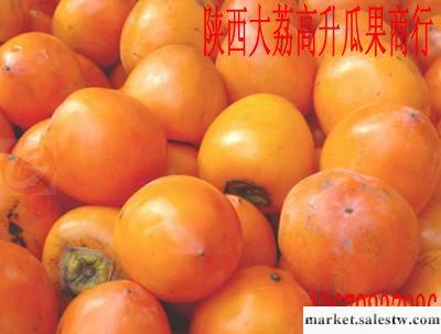 供應核桃/皮薄/資訊搜索列表/產地直銷/陜西大荔縣冬棗基地價格工廠,批發,進口,代購