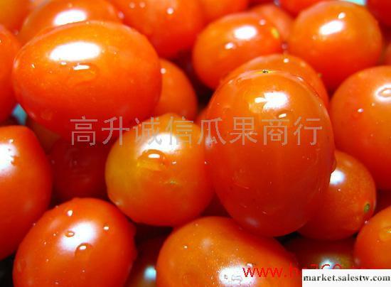 供應好棕果1級圣女小番茄/帖字紅富士蘋果工廠,批發,進口,代購