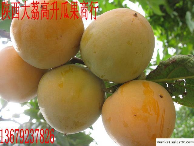 編輯本段基本資料\r\n　　①核桃樹 核桃樹，落葉喬木，羽狀復葉，小葉橢圓形，核果球形，外果皮平滑，內果皮堅硬，有皺紋。木材堅韌，可以做器物，果仁可以吃，可以榨油，也可以入藥。 　　②這種植物的果實。工廠,批發,進口,代購