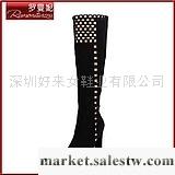 供應--秋冬女鞋羅曼妮 女靴2011秋冬新款 防水臺靴高筒靴 超高跟真皮女鞋工廠,批發,進口,代購