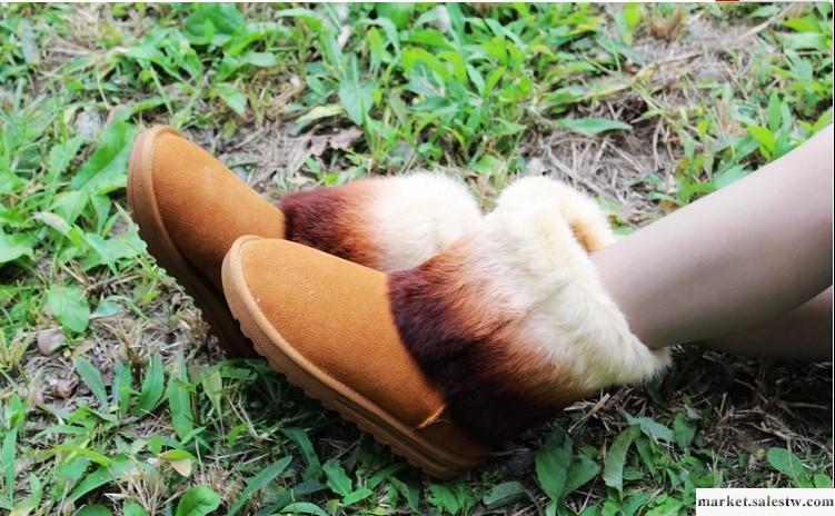 供應新款秋冬季短靴彩色兔毛牛皮女雪地靴子女靴女鞋棉鞋子工廠,批發,進口,代購