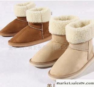 供應年終秒批 恩彩雪地靴子 棉靴 保暖鞋 保暖靴 女靴子 女鞋 棉靴工廠,批發,進口,代購