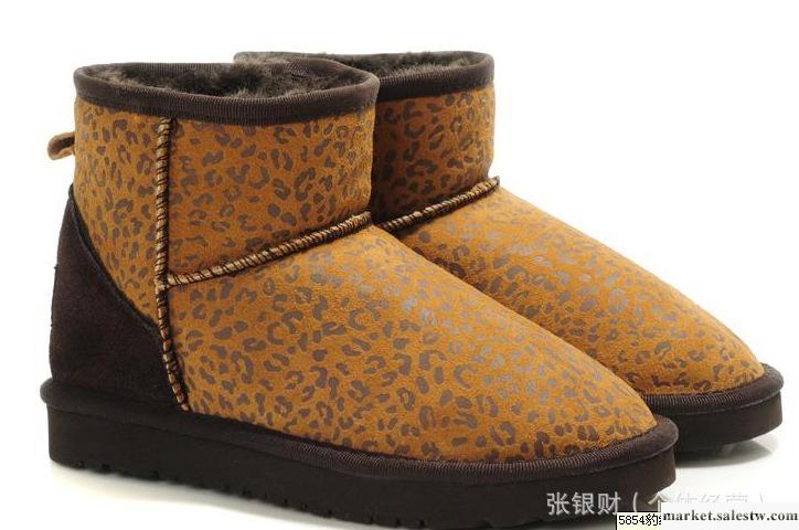 供應5854豹紋雪地靴  廠家直銷 正品保證 誠招代理 一件代發 女鞋工廠,批發,進口,代購