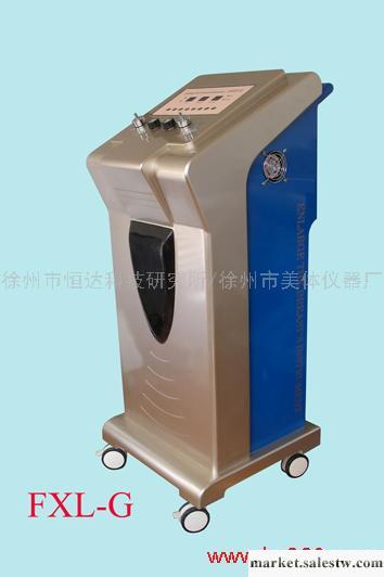 供應FXL-G 豪華空氣負壓豐胸美儀工廠,批發,進口,代購