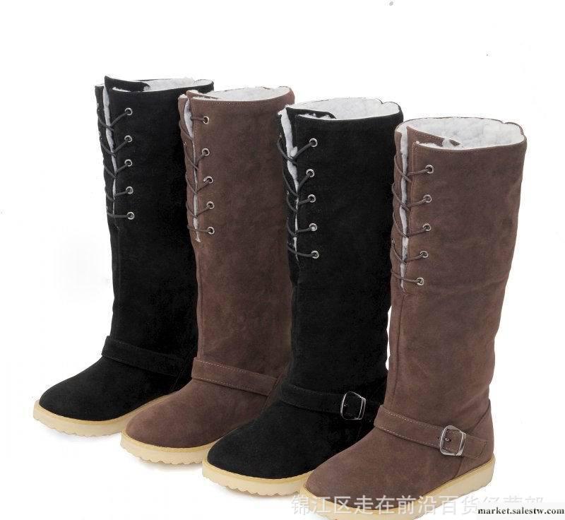 批發2012新款棉靴 單靴 雪地靴  成都女鞋工廠,批發,進口,代購