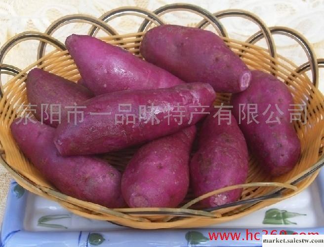 供應紅薯，滎陽市一品味特產有限公司購買熱線：13903851039工廠,批發,進口,代購