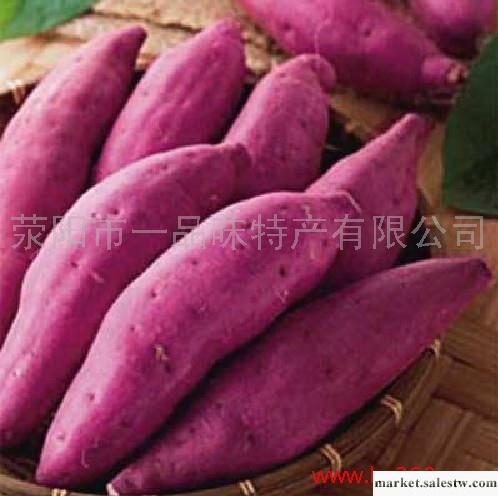 供應紅薯，風味獨特，質優價廉，滎陽市一品味特產有限公司是批發・進口・工廠・代買・代購