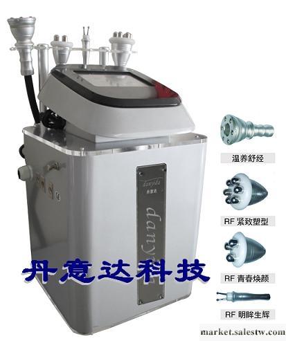 供應丹意達DYT-301塑身喚顏儀工廠,批發,進口,代購