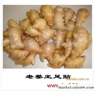 供應厚德漢方生姜足貼、老姜王足貼的功效工廠,批發,進口,代購